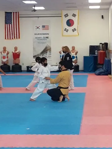 Tae Kwon Do Picture 1