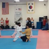 Tae Kwon Do ico