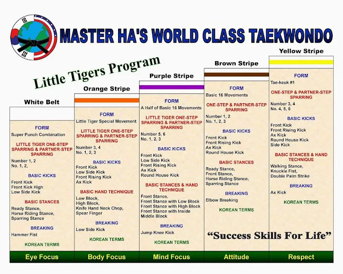 Master Ha's World Class Taekwondo Picture 5