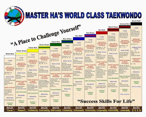 Master Ha's World Class Taekwondo Picture 7