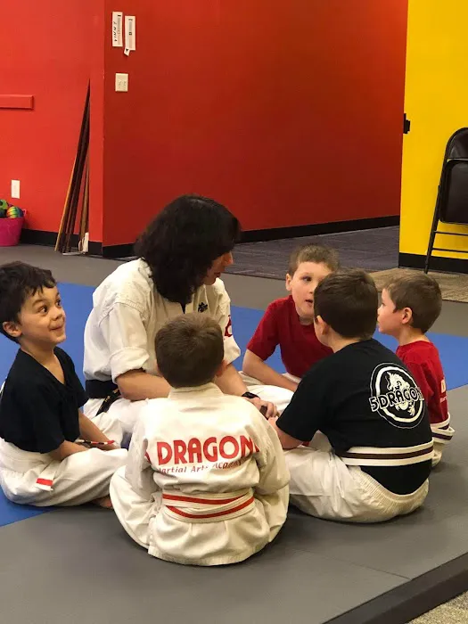 5 Dragons Martial Arts Academy Picture 4