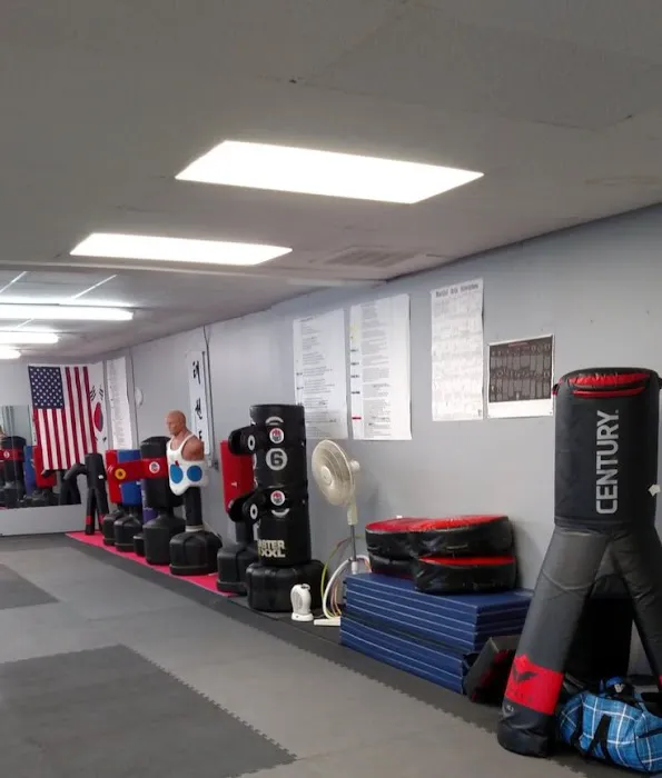 High Kicks Taekwon-Do Picture 1