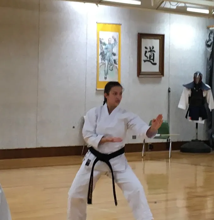 New England Wellness And Martial Arts Picture 4