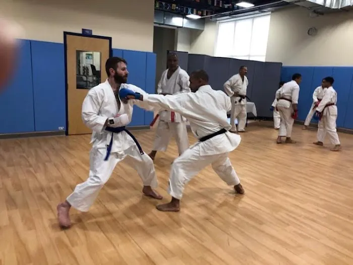 Thy's Taekwon-do Picture 4