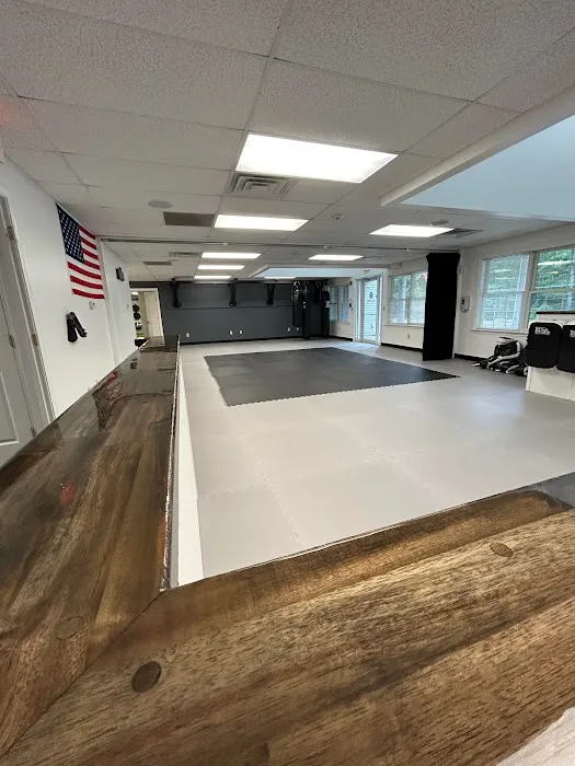 Karate International Picture 3