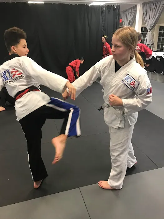 Karate International Picture 1