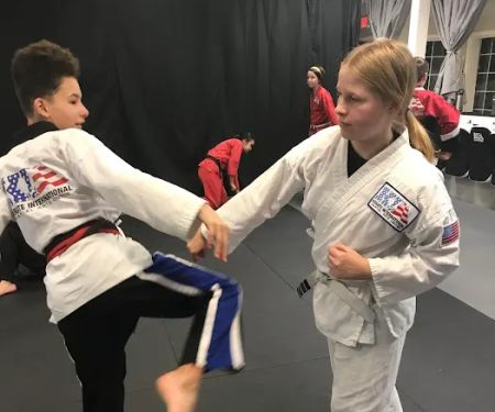 Karate International