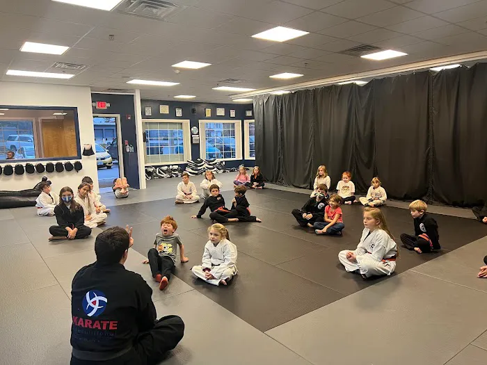 Karate International Picture 2