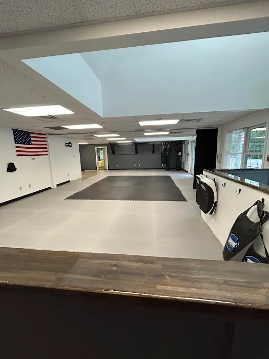 Karate International Picture 8