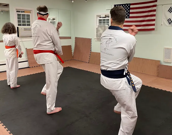 Goldsmith's Martial Arts Studio Picture 4