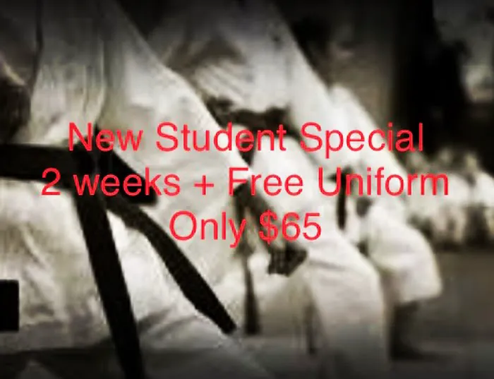 Goldsmith's Martial Arts Studio Picture 2