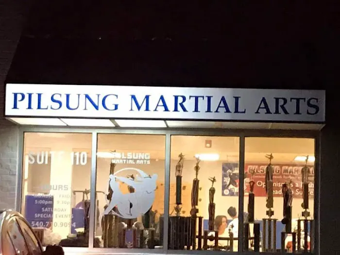 Pilsung Martial Arts Picture 7