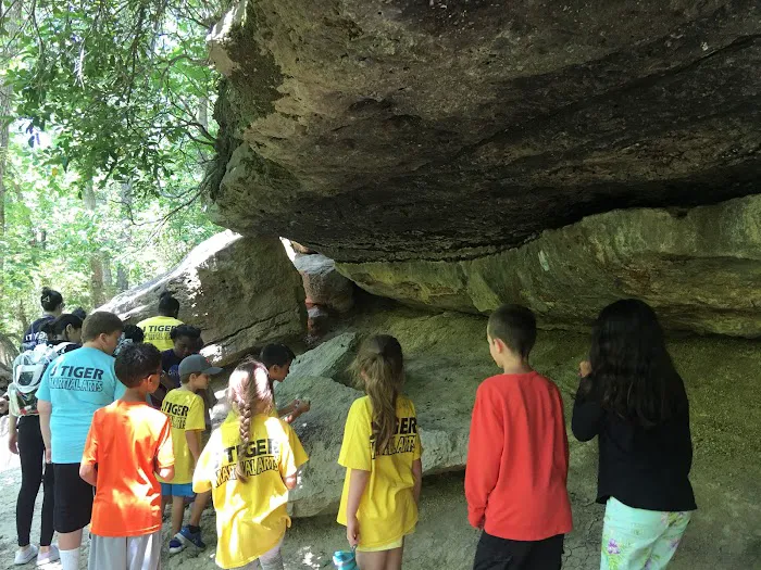 Master YJ Kim's Martial Arts Center Picture 3