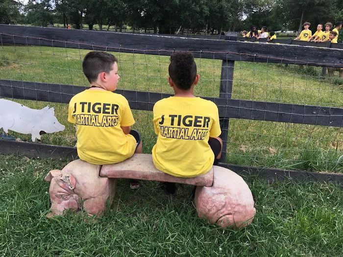 Master YJ Kim's Martial Arts Center Picture 5