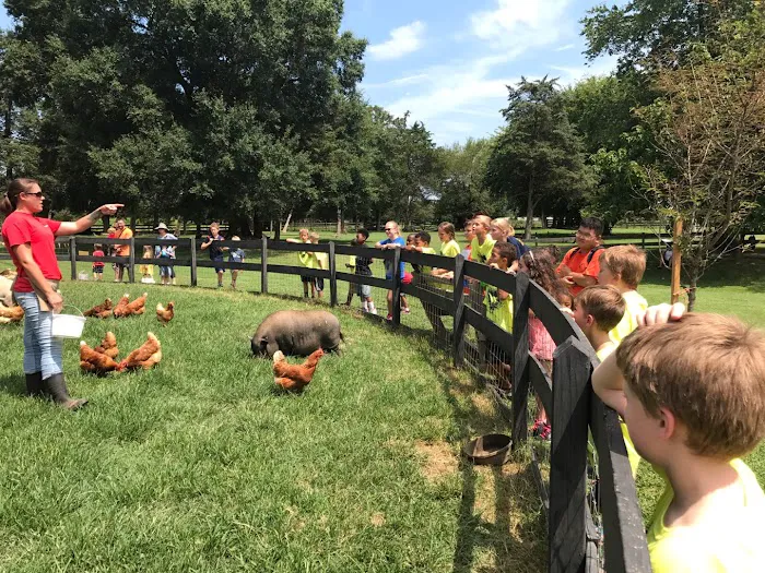 Master YJ Kim's Martial Arts Center Picture 8