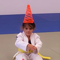 Wall 2 Wall Martial Arts ico