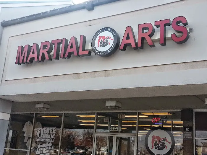 Wall 2 Wall Martial Arts Picture 7