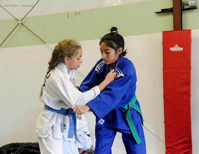 Wall 2 Wall Martial Arts Picture 9