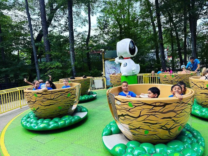 True Black Belt Academy Picture 9