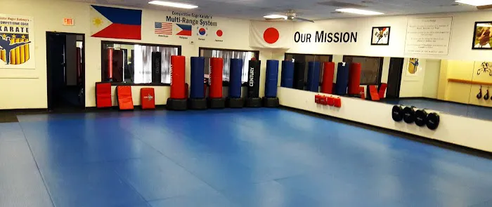 Competitive Edge Karate Picture 5