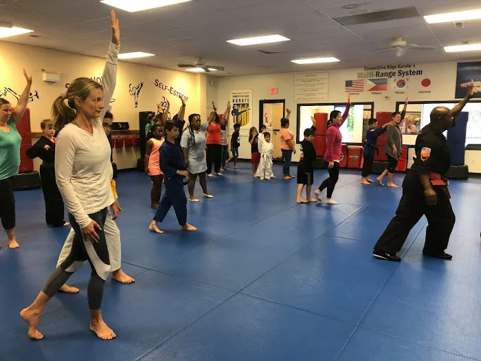 Competitive Edge Karate Picture 2