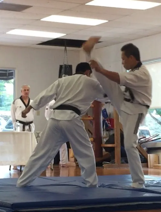 Koryo Traditional Martial Arts Picture 8