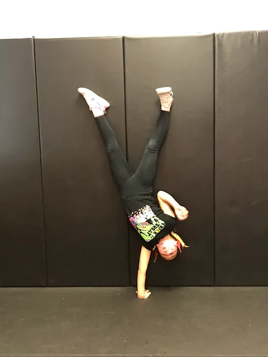 Martial Arts of West End Picture 7