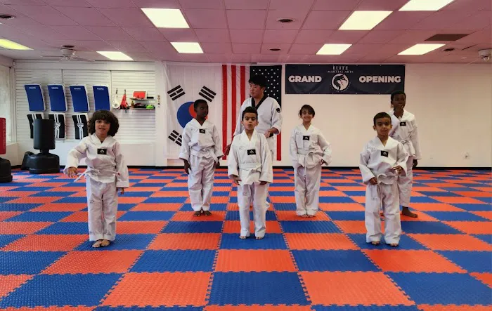Elite Martial Arts Picture 1
