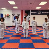 Elite Martial Arts ico