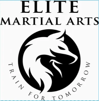 Elite Martial Arts Picture 3