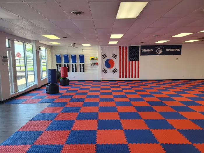 Elite Martial Arts Picture 5