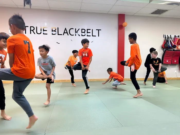 True Black Belt Academy Picture 1