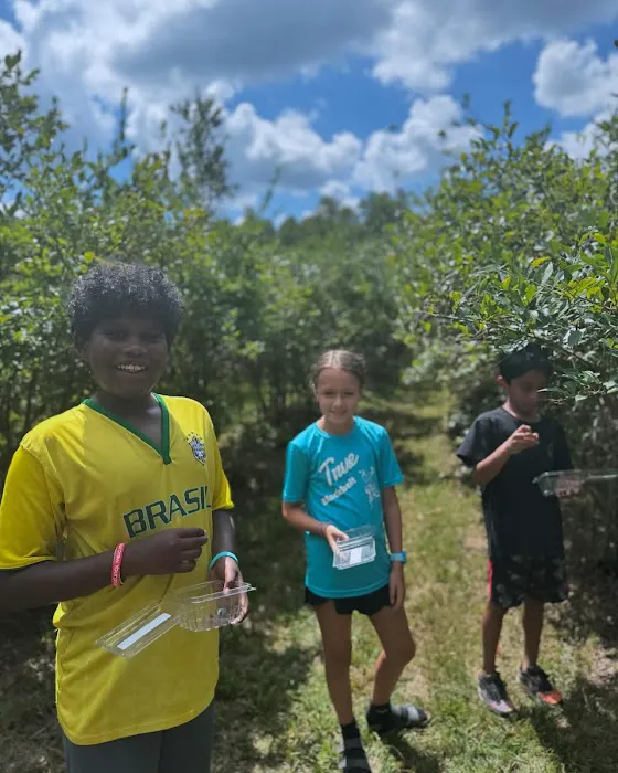 True Black Belt Academy Picture 2