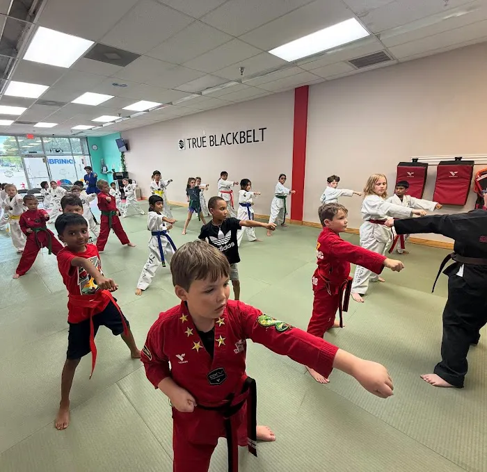 True Black Belt Academy Picture 8