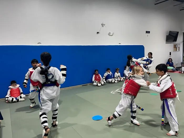 True Black Belt Academy Picture 9