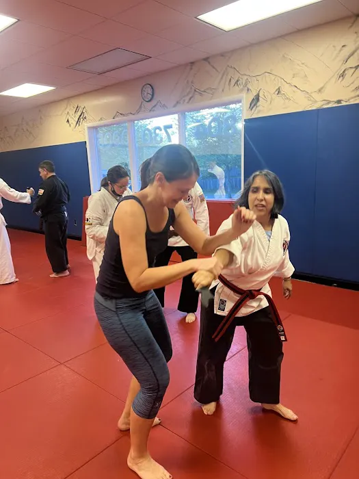 Richmond Traditional Martial Arts Picture 1