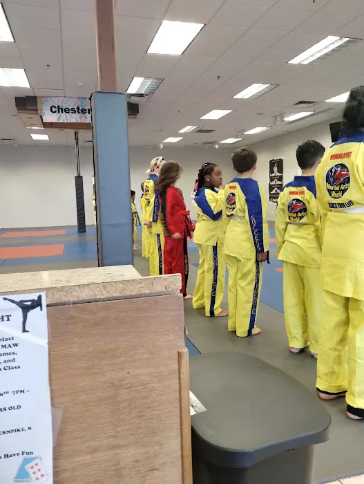 Martial Arts World Chesterfield Picture 1