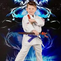 Grandmaster Dong's Karate School ico