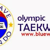 Portland Blue Wave Taekwondo ico