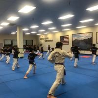 World Class Taekwondo ico