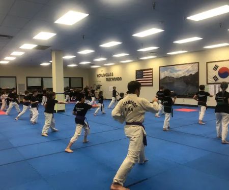 World Class Taekwondo