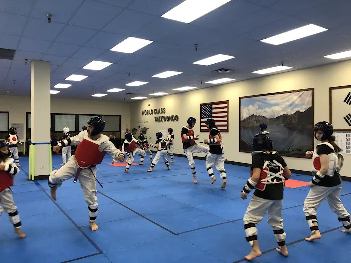 World Class Taekwondo Picture 6