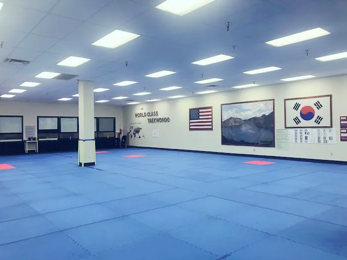 World Class Taekwondo Picture 3