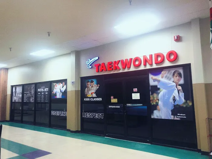 World Class Taekwondo Picture 5