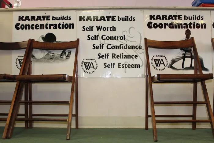 Justice Karate American Style Picture 2