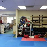 Justice Karate American Style ico