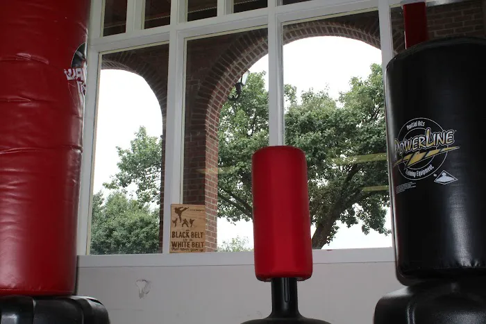 Justice Karate American Style Picture 3