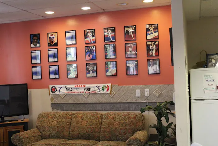 Justice Karate American Style Picture 4