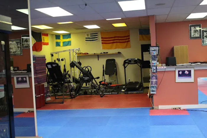 Justice Karate American Style Picture 7