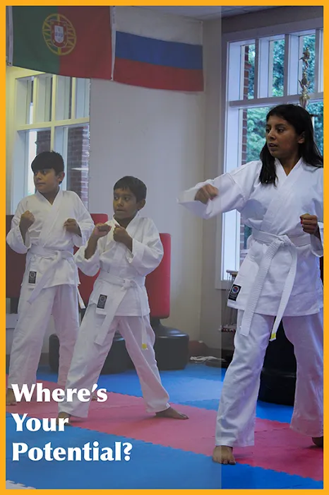 Justice Karate American Style Picture 9